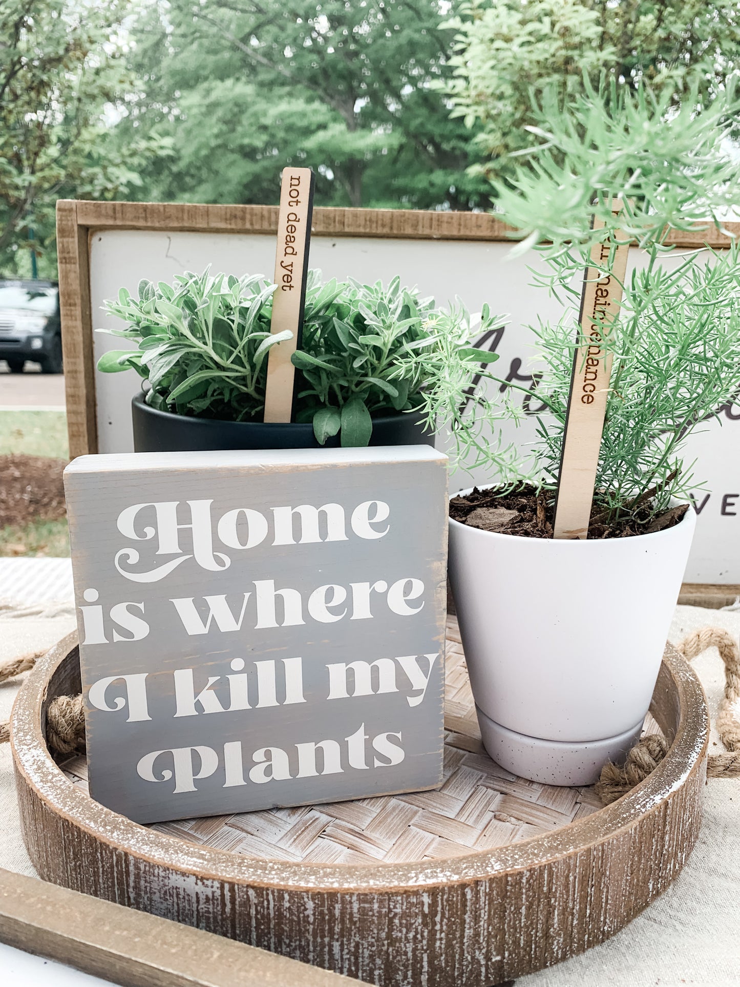 Home Is Where I Kill My Plants