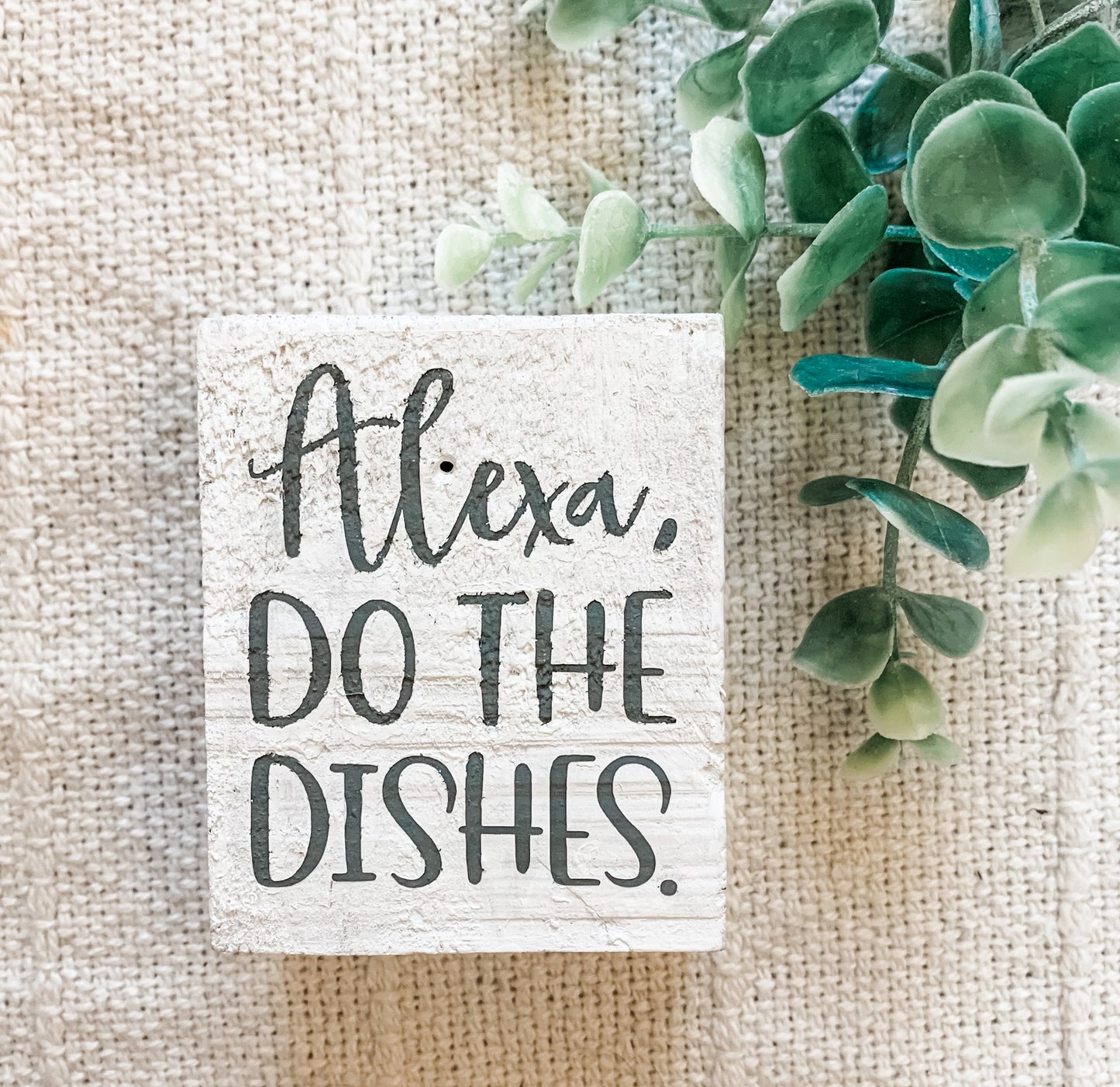 Alexa Do the Dishes